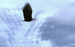 昨夜今晨全球大公司动态 全球前十大奢侈品牌法国占据六席；马斯克称特朗普税收法案为“令人作呕的怪物”